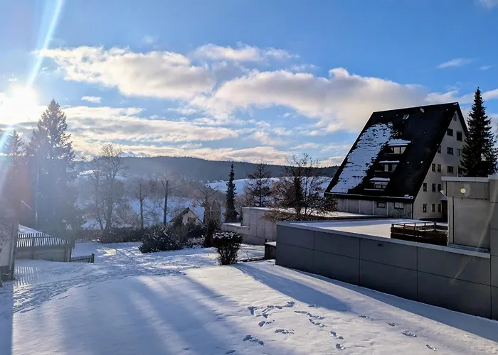 Wohnen Am Wald Mit Pool & Sauna Unterkirnach